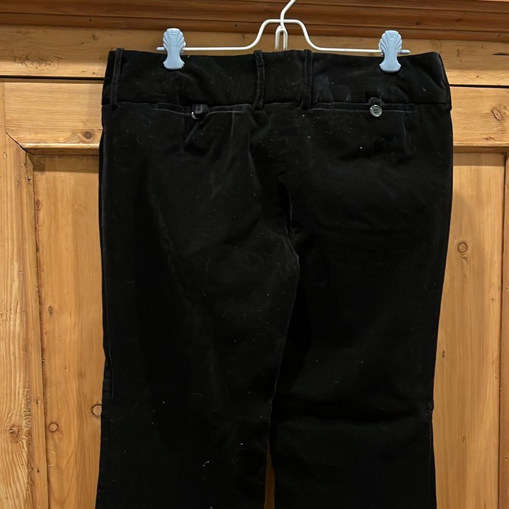The Limited Velvet Pants - Picture 4 of 5